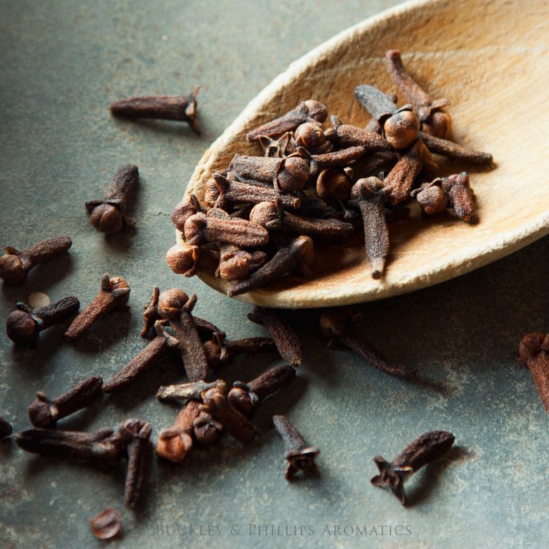 Clove Bud Organic | 丁香 (USDA有機認證)