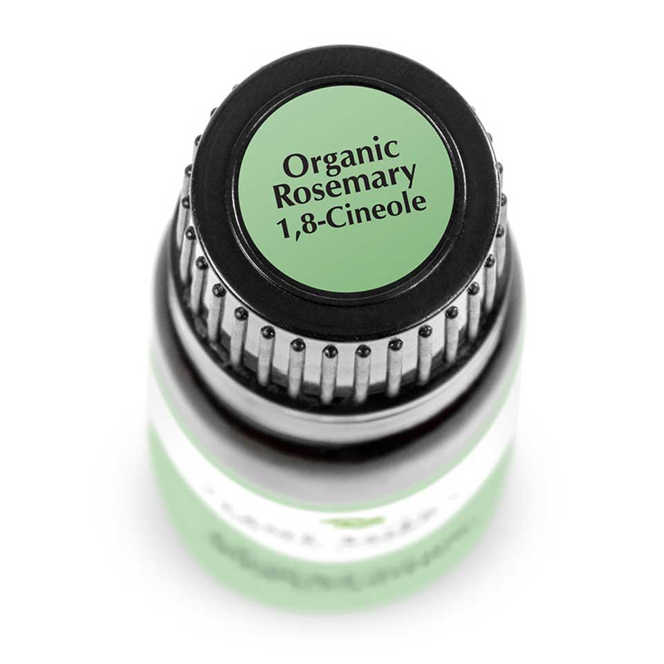 Rosemary 1,8-Cineole Organic | 迷迭香 (USDA有機認證)