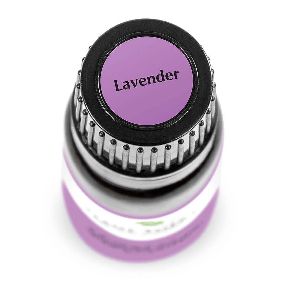 Lavender | 薰衣草