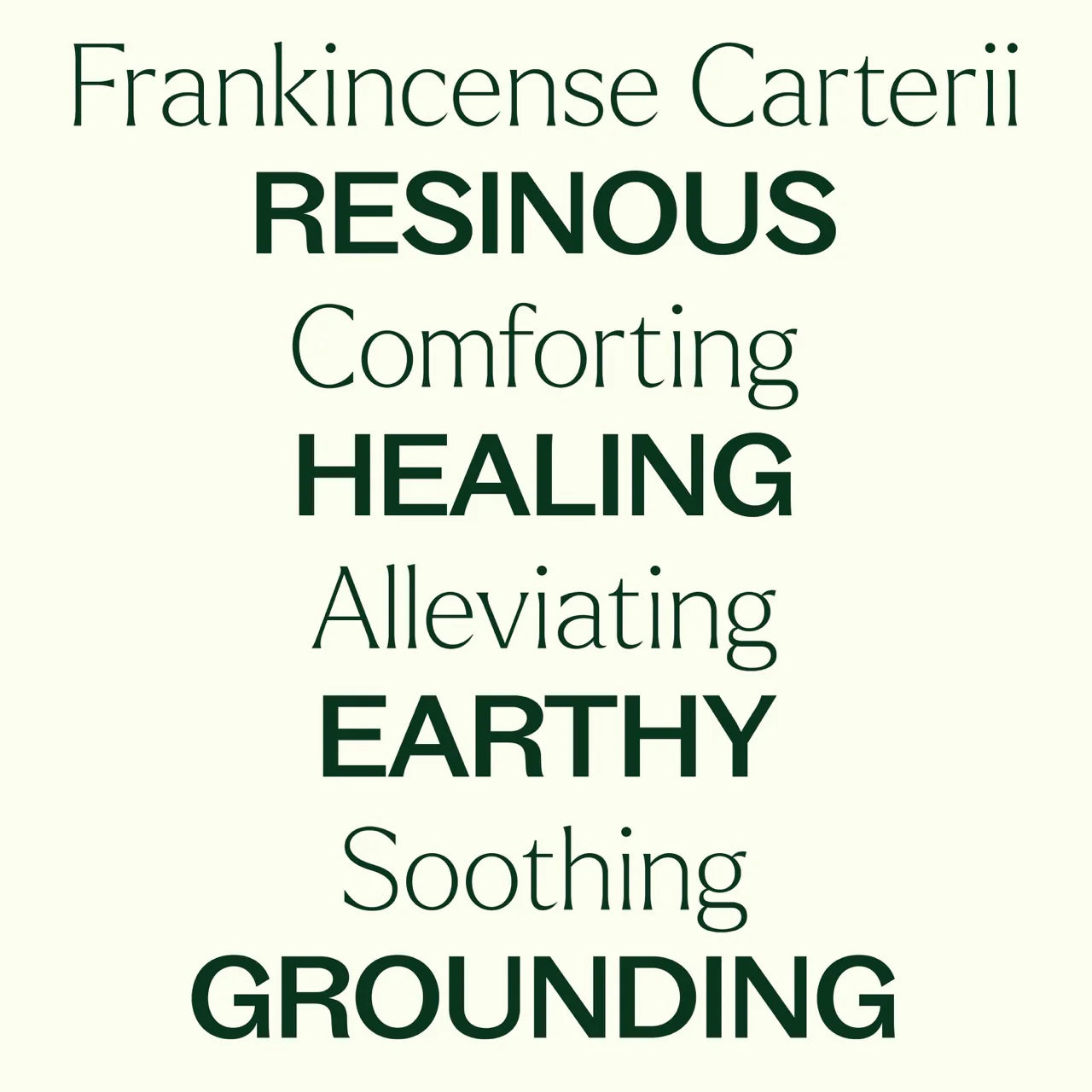 Frankincense Carteri Pre-Diluted Roll-On | 乳香-阿拉伯 滾珠裝 (已稀釋)