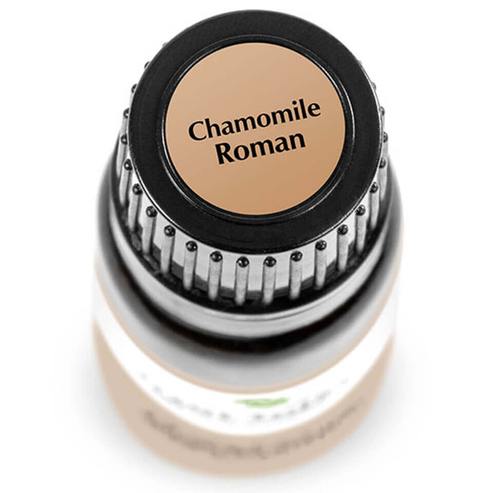 Chamomile Roman | 羅馬洋甘菊