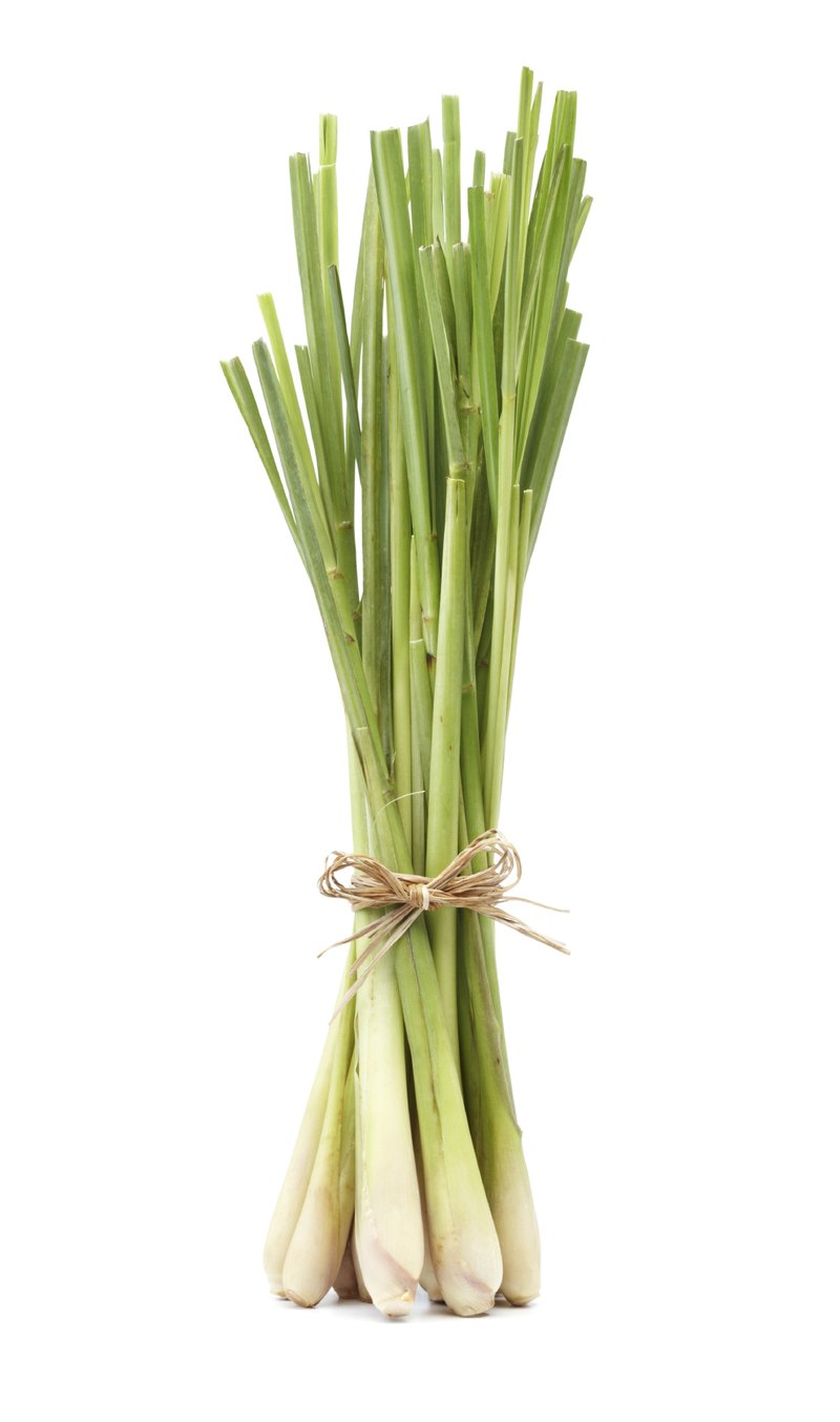 Citronella | 香茅