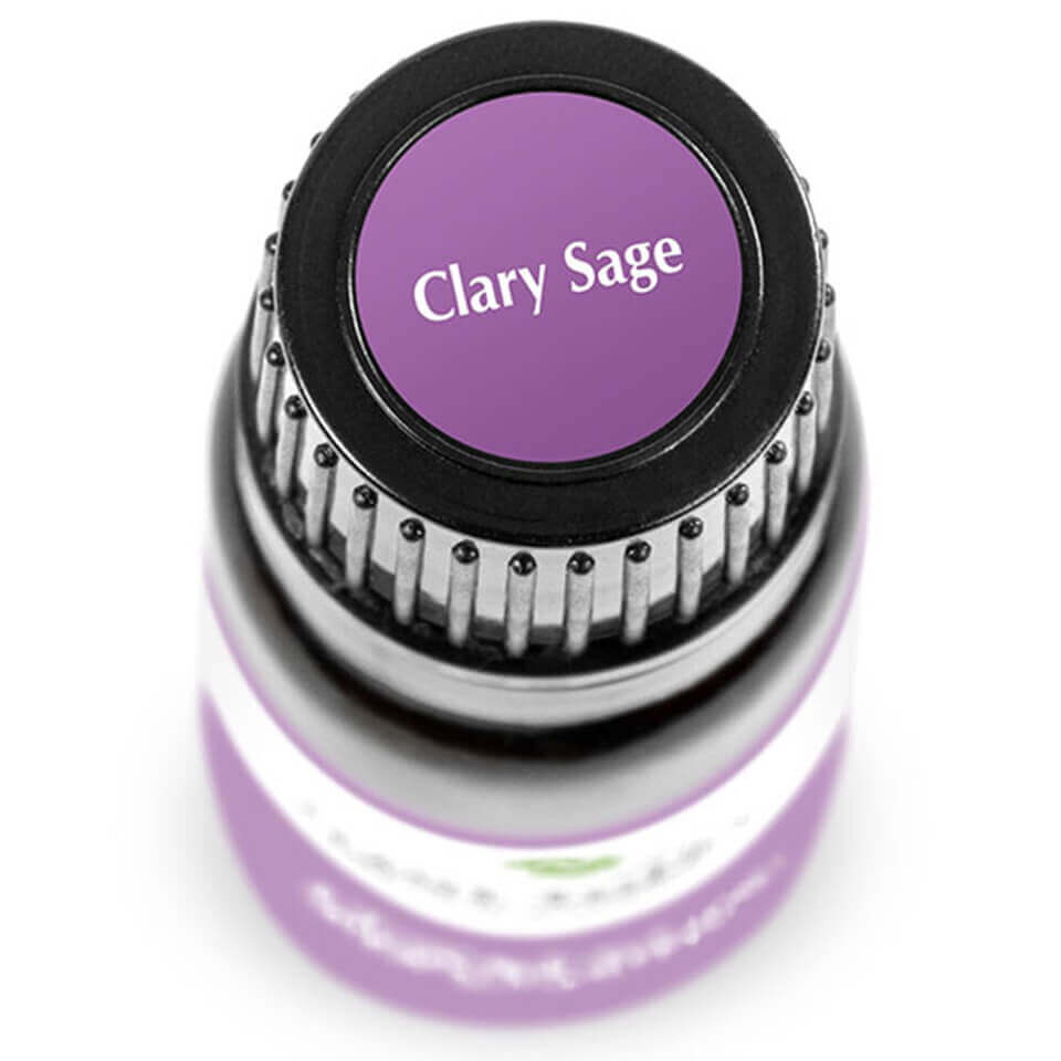 Clary Sage | 快樂鼠尾草