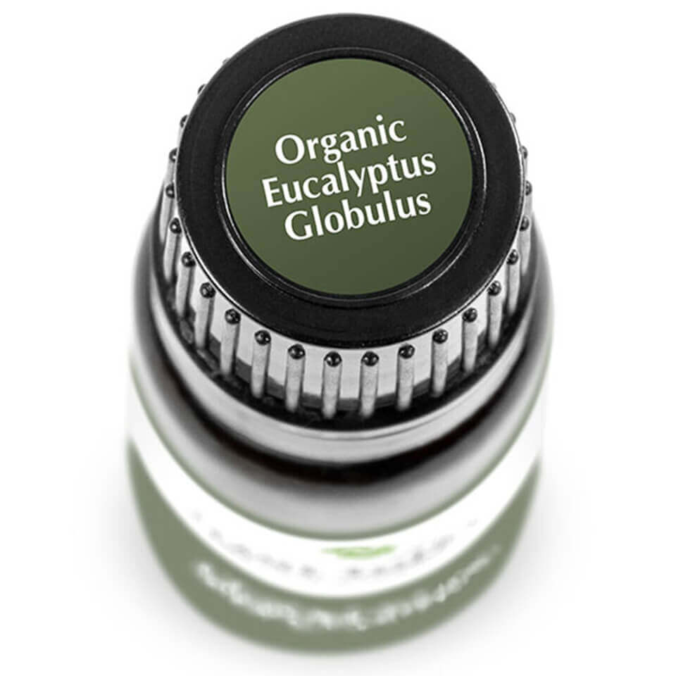 Eucalyptus Globulus Organic | 藍膠尤加利 (USDA有機認證)