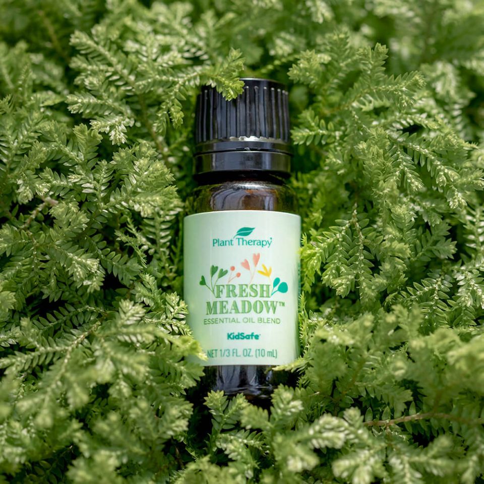 Fresh Meadow | 青澀草原複方