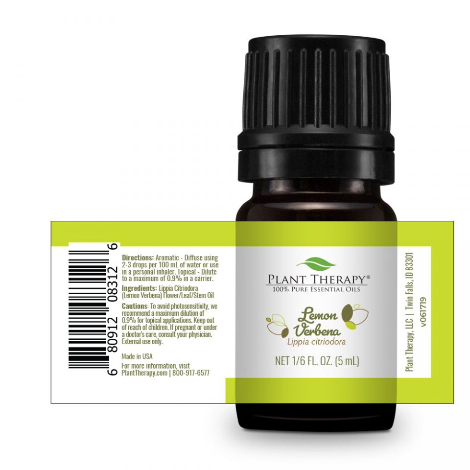 Lemon Verbena | 檸檬馬鞭草