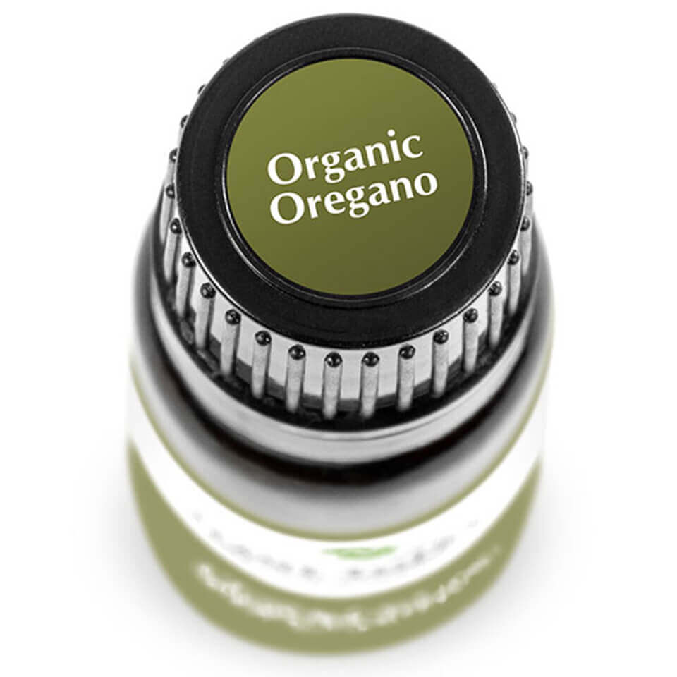 Oregano Organic | 牛至 (USDA有機認證)
