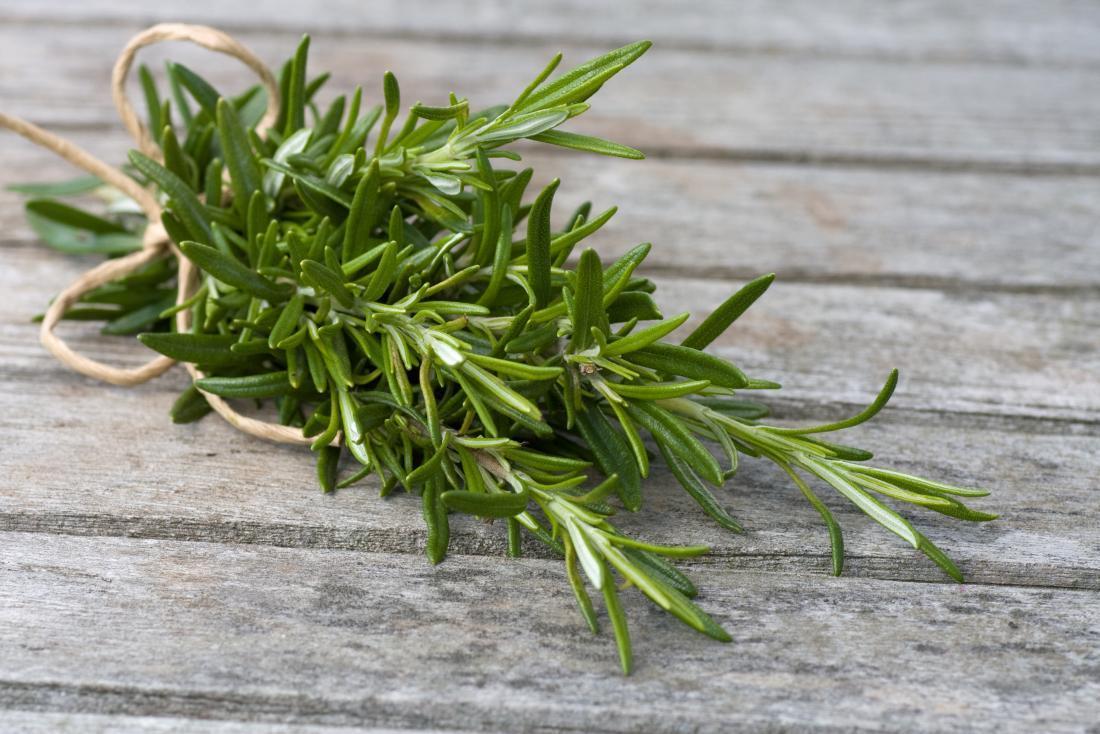 Rosemary 1,8-Cineole Organic | 迷迭香 (USDA有機認證)