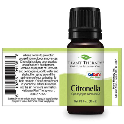 Citronella | 香茅