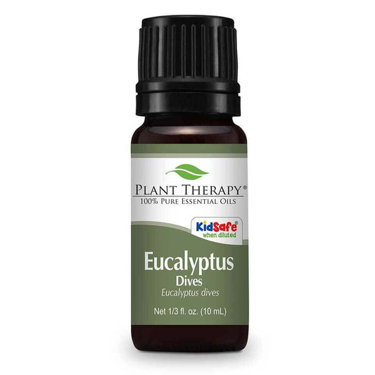 Eucalyptus Dives | 薄荷尤加利