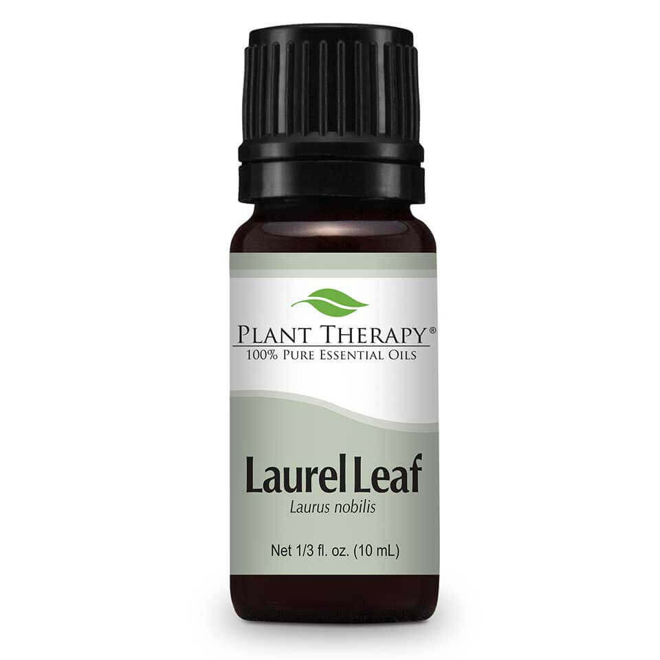 Laurel Leaf | 月桂葉