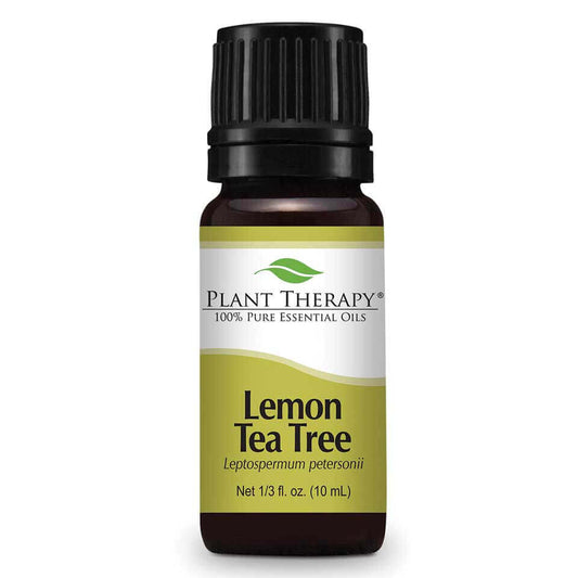 Lemon Tea Tree | 檸檬茶樹