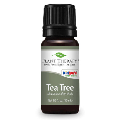 Tea Tree | 茶樹