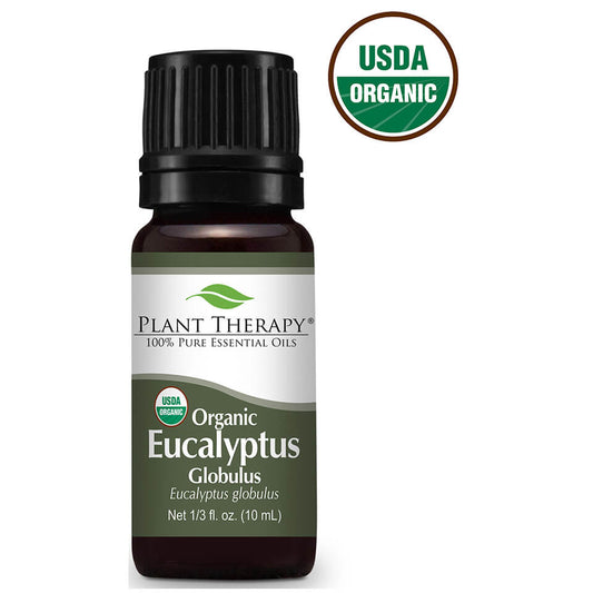 Eucalyptus Globulus Organic | 藍膠尤加利 (USDA有機認證)