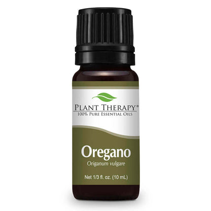 Oregano | 牛至