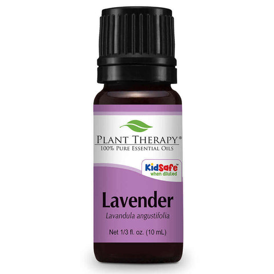 Lavender | 薰衣草