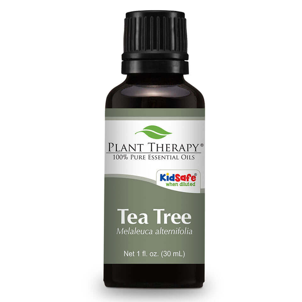 Tea Tree | 茶樹