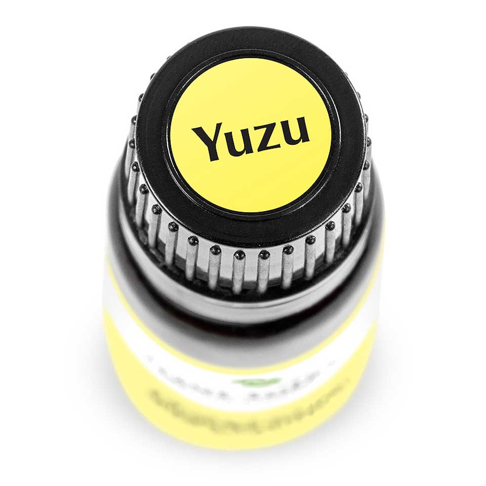 Yuzu | 日本柚子