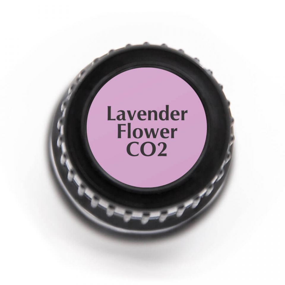 Lavender Flower CO2 | 薰衣草花CO2萃取