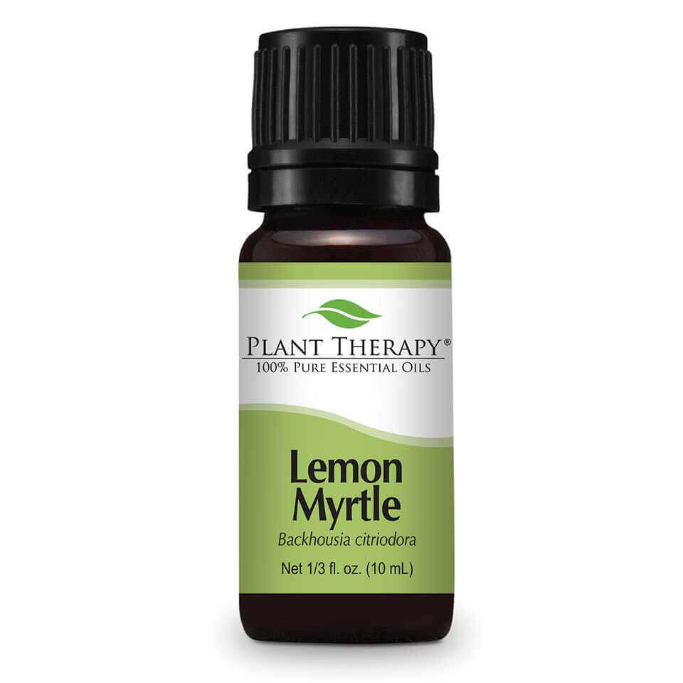 Lemon Myrtle | 檸檬香桃木