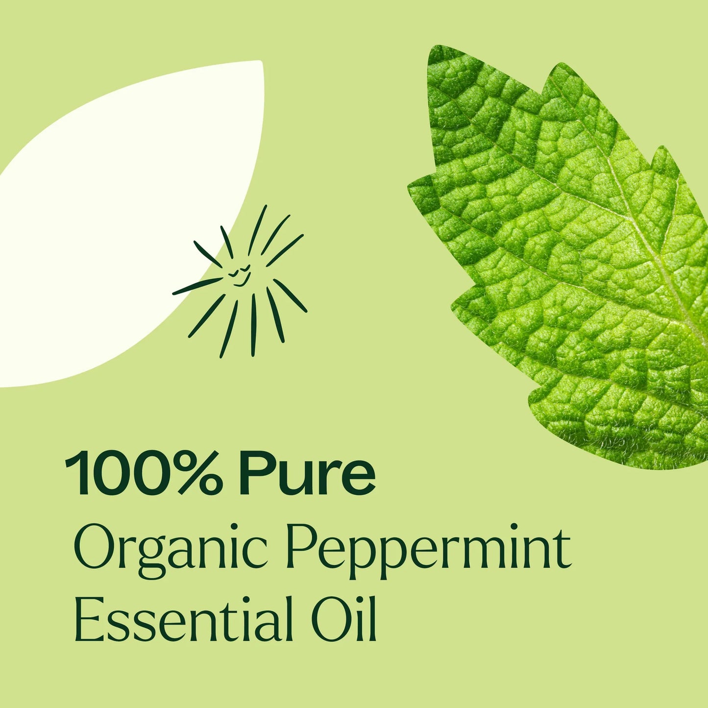 Peppermint Organic | 薄荷 (USDA有機認證)