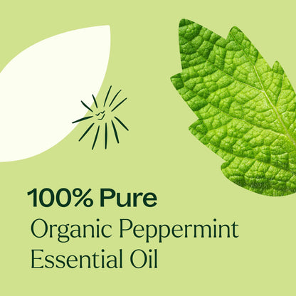 Peppermint Organic | 薄荷 (USDA有機認證)