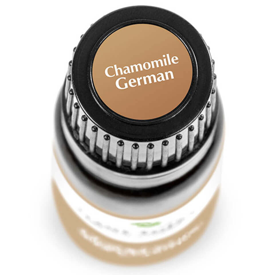 Chamomile German | 德國洋甘菊