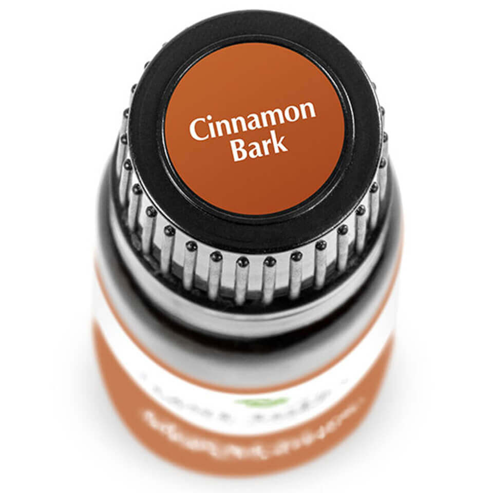 Cinnamon Bark | 肉桂皮