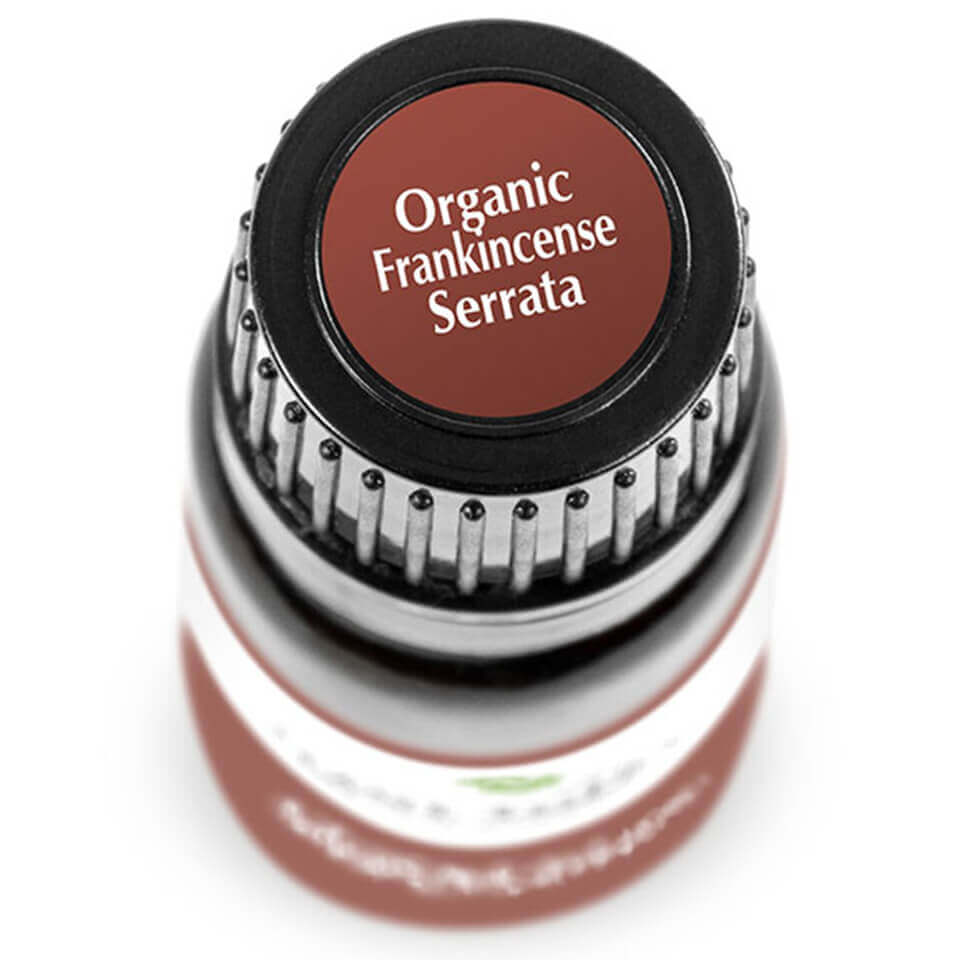 Frankincense Serrata Organic | 乳香-印度 (USDA有機認證)