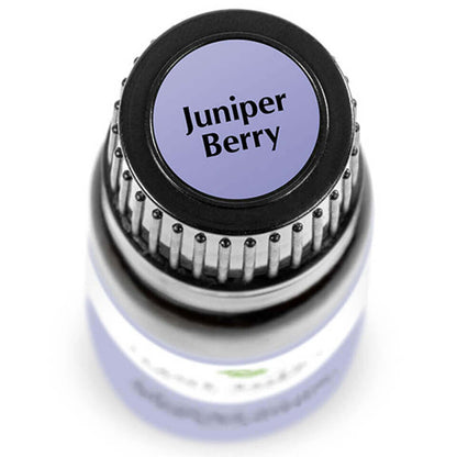 Juniper Berry | 杜松 or 漿果