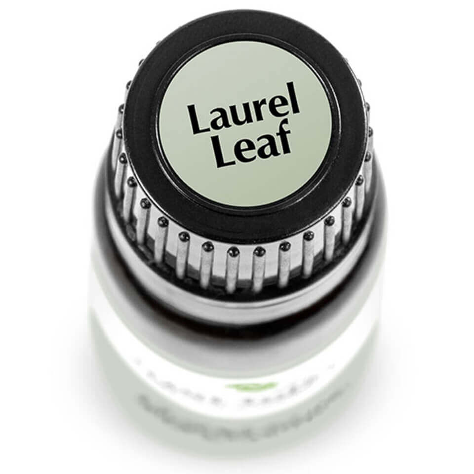 Laurel Leaf | 月桂葉