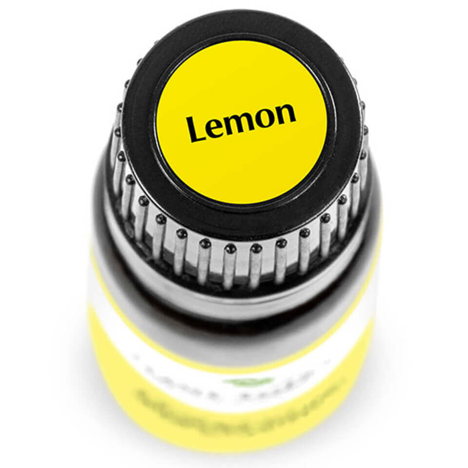 Lemon | 檸檬