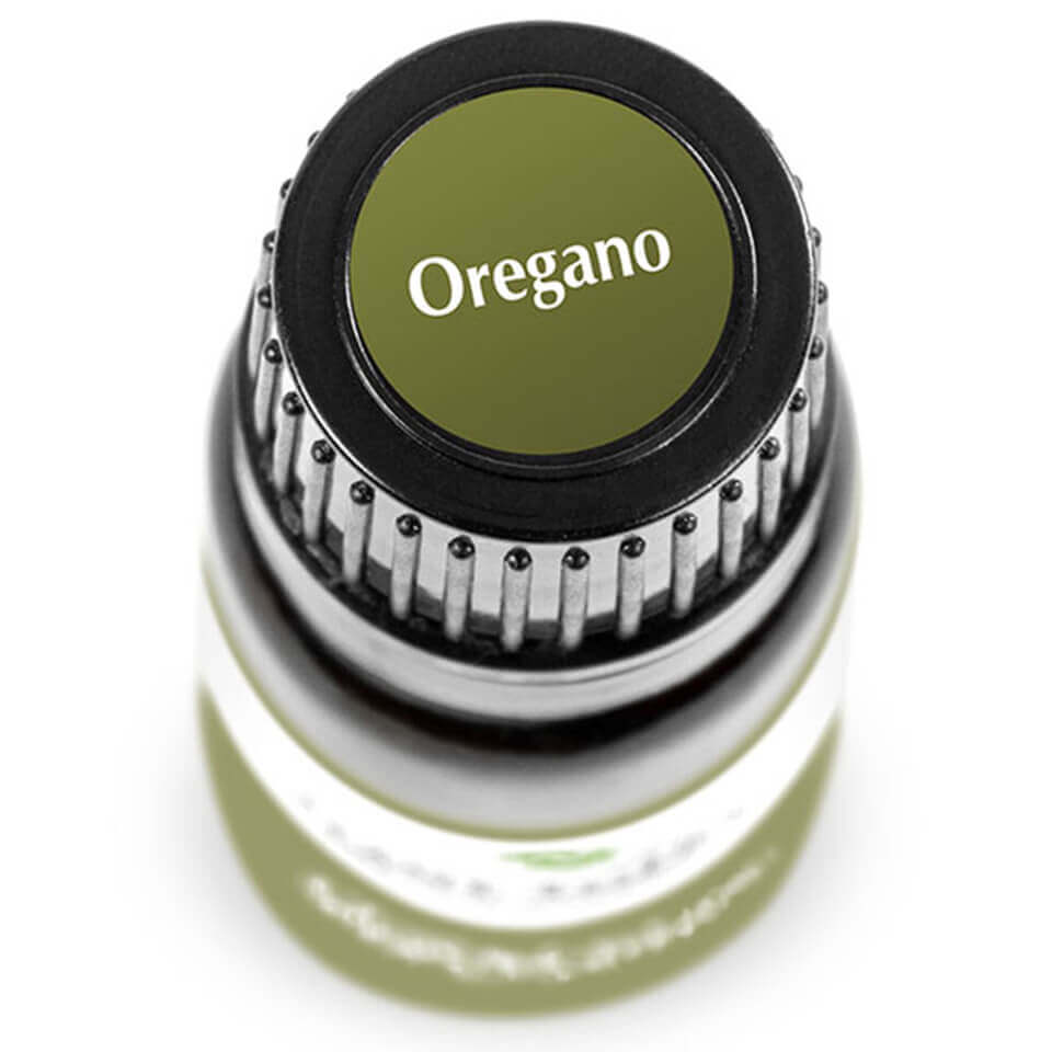 Oregano | 牛至