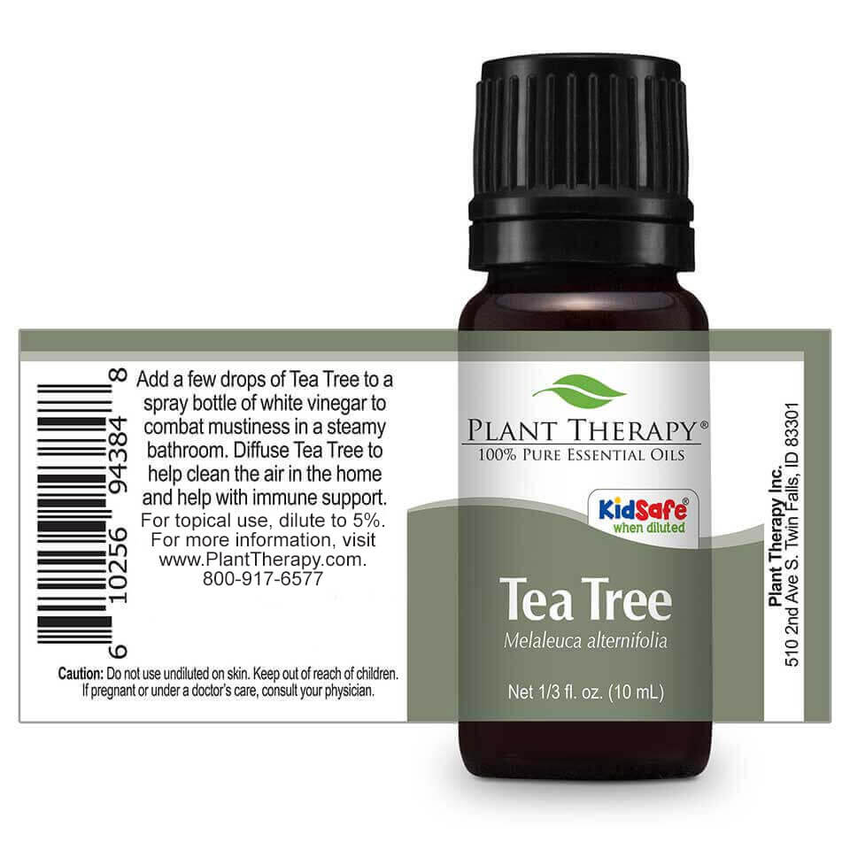 Tea Tree | 茶樹